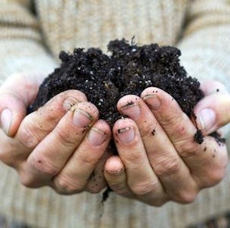 Picture for category Soil Health