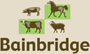 Picture for category Bainbridge Vet