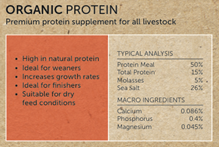 Picture of Olsson's Organic Protein