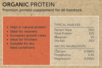 Picture of Olsson's Organic Protein