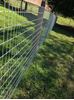 Picture of Horse Fence (Max - Loc)