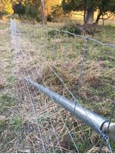 Picture of Sheep Fence (Max-Loc fence)