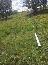 Picture of Dog- Fence (Max- Loc Dog fence)
