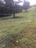 Picture of Dog- Fence (Max- Loc Dog fence)