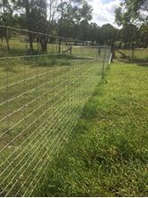 Picture of Pig Fence (Max-loc Feral bloc pre-fabricated fence)