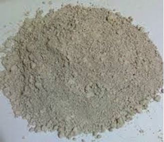 Picture of Organic Insecticide Powder (Grainsave TM) DE includes freight