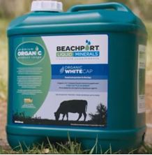 Picture of Beachport Liquid Minerals ORGANIC White Cap