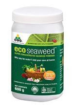 Picture of ECO-SEAWEED 600g