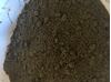 Picture of Rockchar