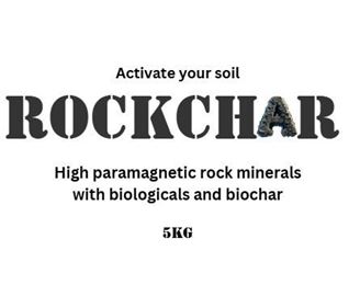 Picture of Rockchar